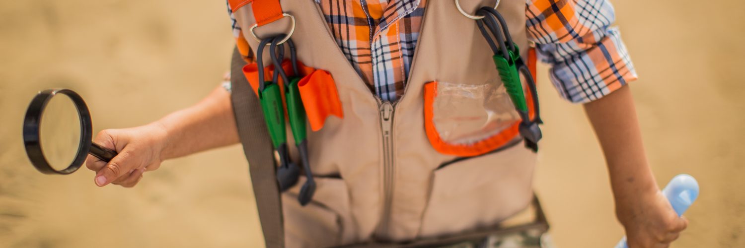 Si può educare alla gentilezza e alla verità attraverso l'arte e la storia.