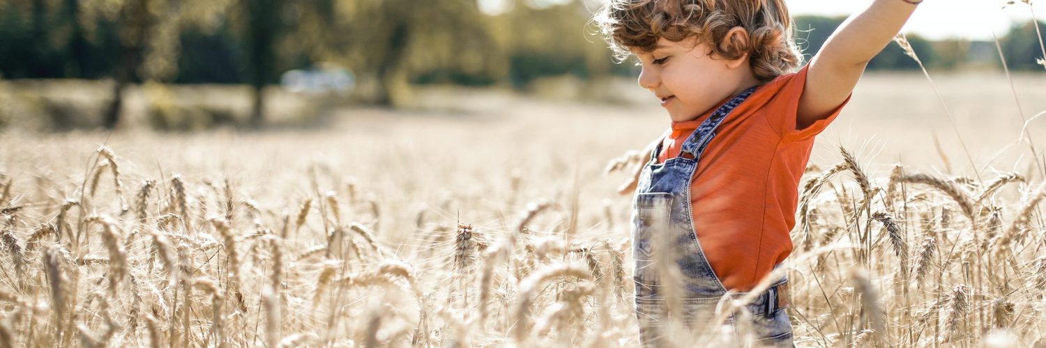 La bellezza rende l'esperienza estetica anche emozionale