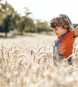 La bellezza rende l'esperienza estetica anche emozionale