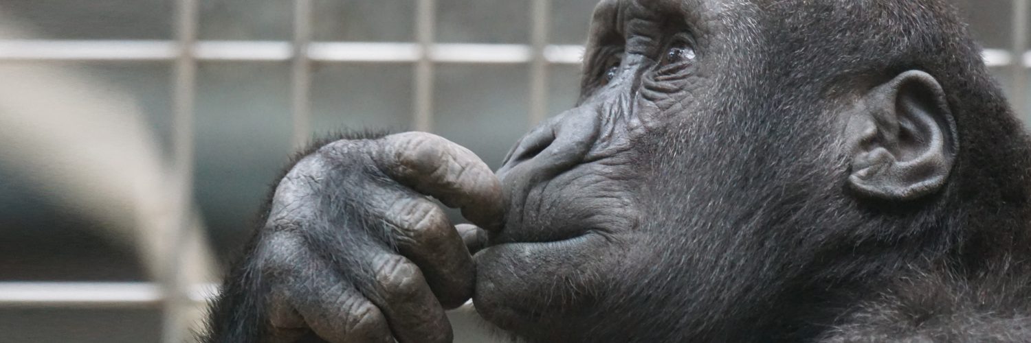 Perché abbiamo bisogno di insegnanti scettici