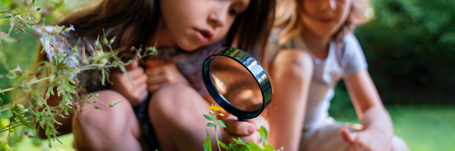 bambini natura educazione ambiente