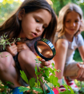 bambini natura educazione ambiente